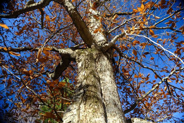 592 Vertical Mile Road, Wheelock, VT 05851