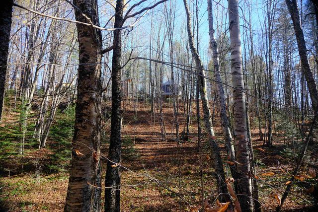 592 Vertical Mile Road, Wheelock, VT 05851