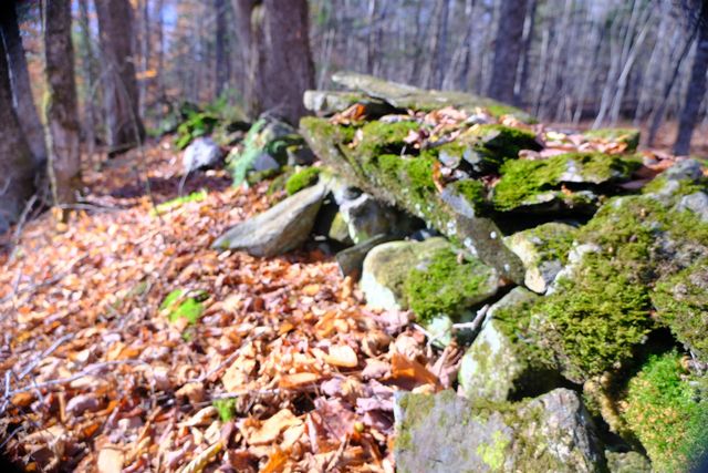 592 Vertical Mile Road, Wheelock, VT 05851