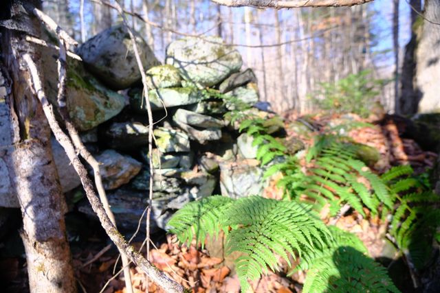 592 Vertical Mile Road, Wheelock, VT 05851