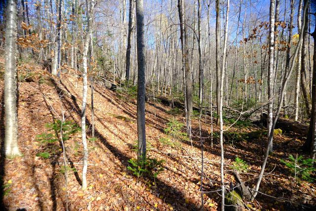 592 Vertical Mile Road, Wheelock, VT 05851