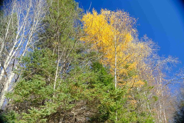 592 Vertical Mile Road, Wheelock, VT 05851