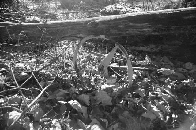 592 Vertical Mile Road, Wheelock, VT 05851