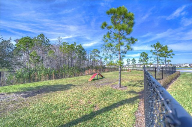 15982 WEATHERED WINDMILL TERRACE, Odessa, FL 33556