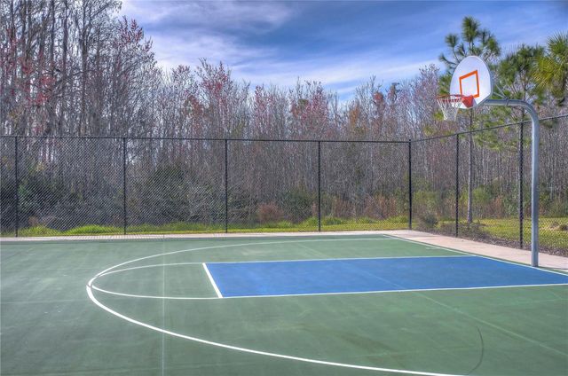 15982 WEATHERED WINDMILL TERRACE, Odessa, FL 33556