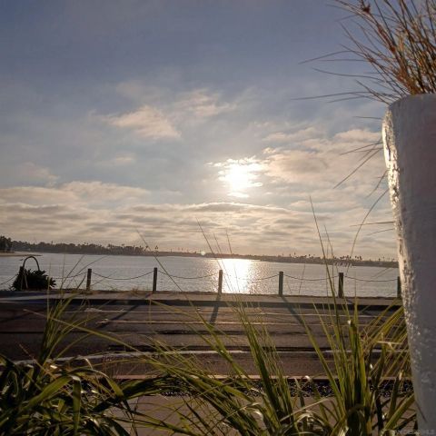 3403 Riviera, San Diego, CA 92109