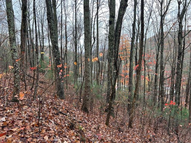 Lt12&13 Butternut Grove Road, Blairsville, GA 30512