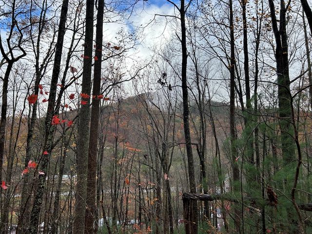 Lt12&13 Butternut Grove Road, Blairsville, GA 30512