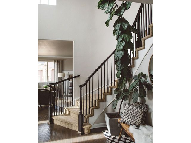 6203 Swainsons Hawk Pl, Fort Collins, CO 80528