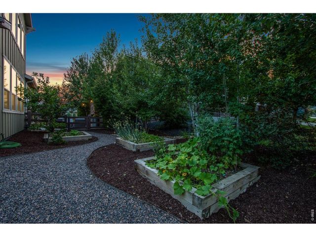 6203 Swainsons Hawk Pl, Fort Collins, CO 80528