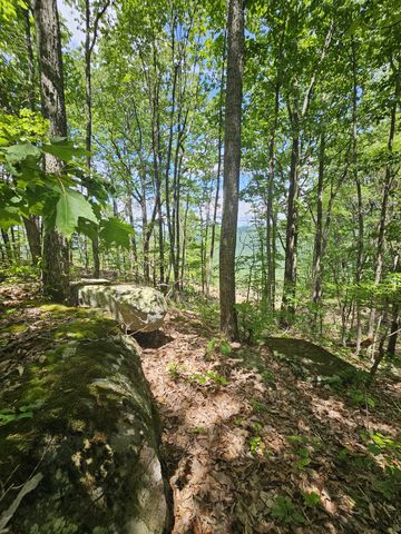 15 Higgenbotham Turnpike, Altamont, TN 37301