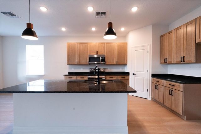 911 N NEW HAMPSHIRE AVENUE, Tavares, FL 32778