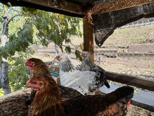 4085 S OLYMPIC WAY, Holladay, UT 84124