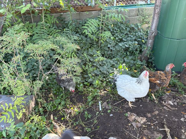 4085 S OLYMPIC WAY, Holladay, UT 84124