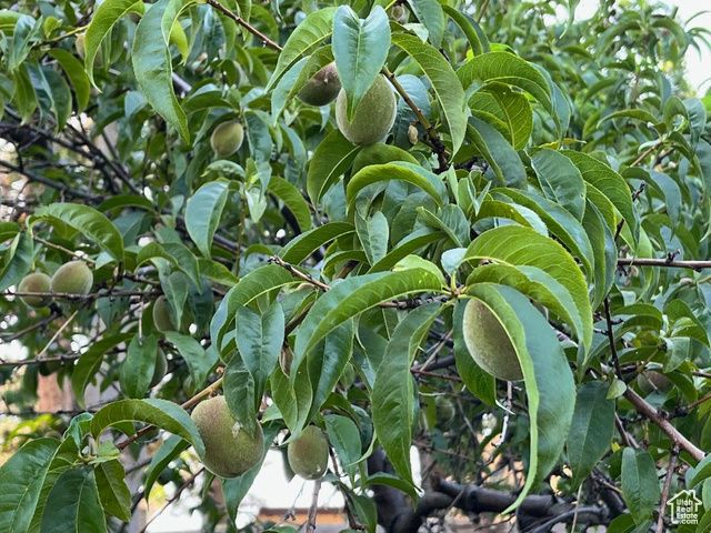 4085 S OLYMPIC WAY, Holladay, UT 84124