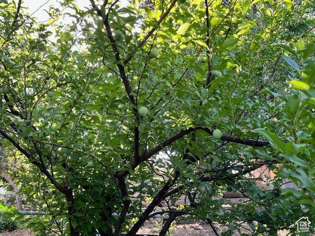 4085 S OLYMPIC WAY, Holladay, UT 84124