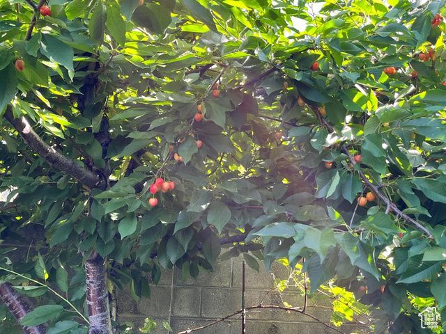 4085 S OLYMPIC WAY, Holladay, UT 84124