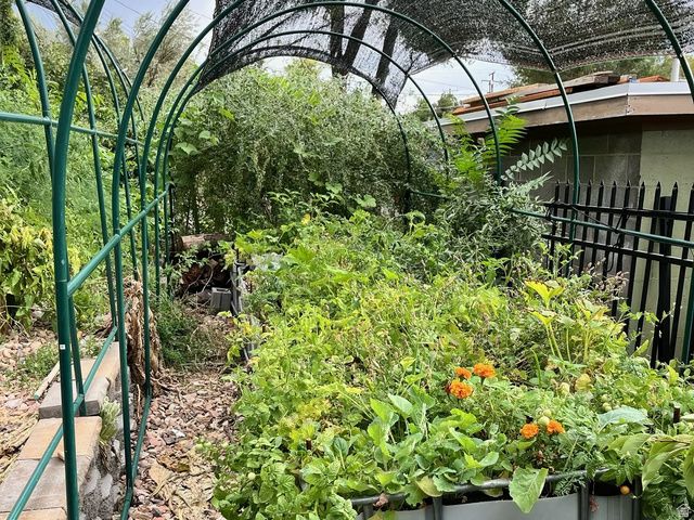 4085 S OLYMPIC WAY, Holladay, UT 84124