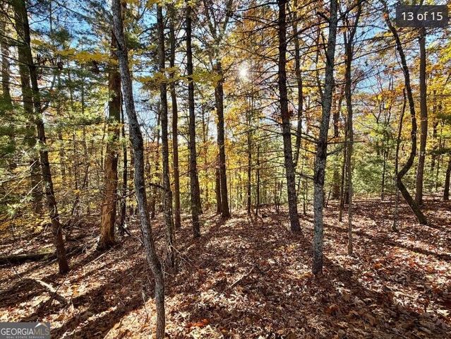 LOTS 12 &14 Crows Nest, Clayton, GA 30525