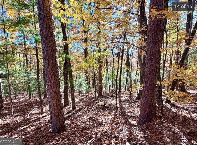 LOTS 12 &14 Crows Nest, Clayton, GA 30525