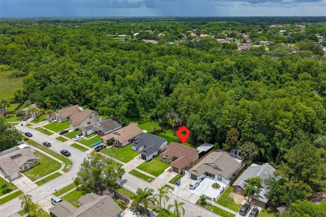 12832 COVERDALE DRIVE, Tampa, FL 33624