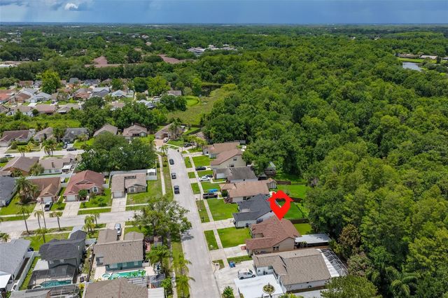 12832 COVERDALE DRIVE, Tampa, FL 33624