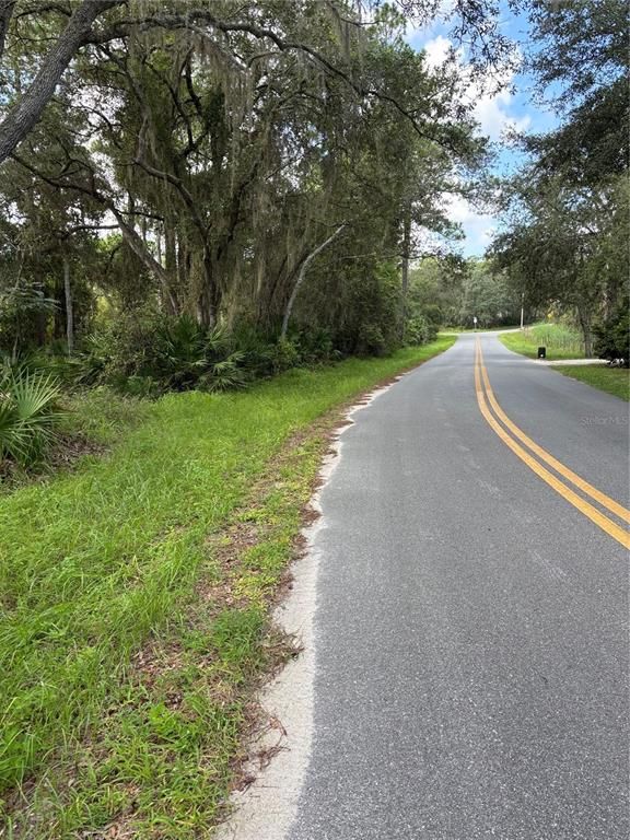 246 BROWNS HAMMOCK ROAD, Crescent City, FL 32112