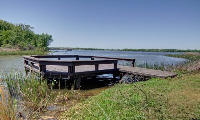 125 Private Road 5295, Yantis, TX 75497