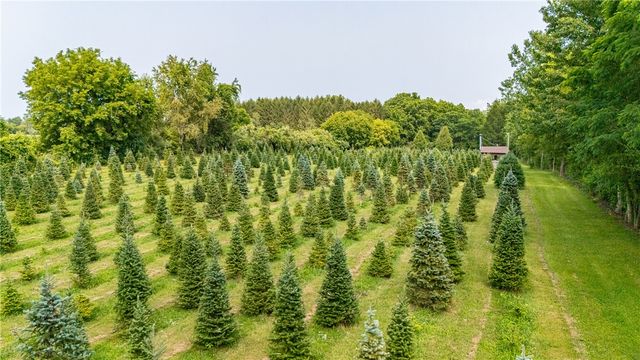1651 Harris Road, Penfield, NY 14526