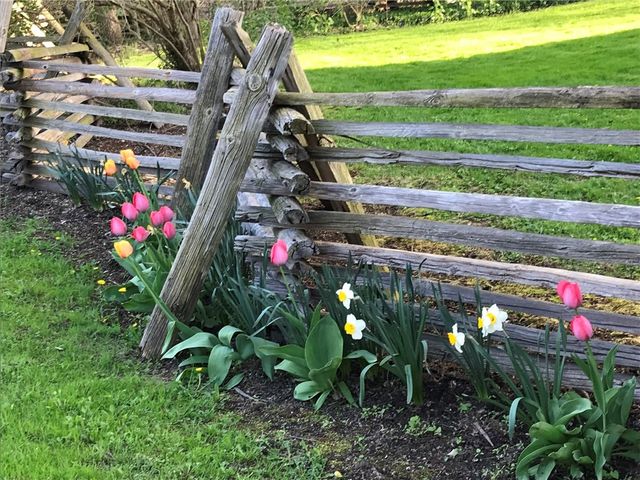 1651 Harris Road, Penfield, NY 14526