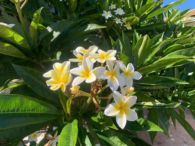 2314 SAWGRASS STREET, El Cajon, CA 92019