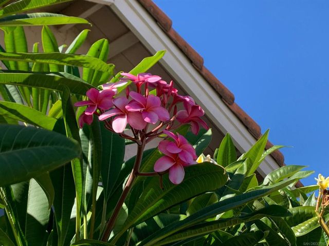 2314 SAWGRASS STREET, El Cajon, CA 92019