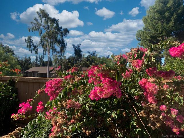 2314 SAWGRASS STREET, El Cajon, CA 92019