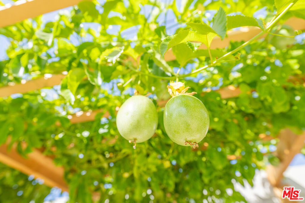 Image 11 of property listing at 5848 Cleon Avenue, North Hollywood, CA 91601