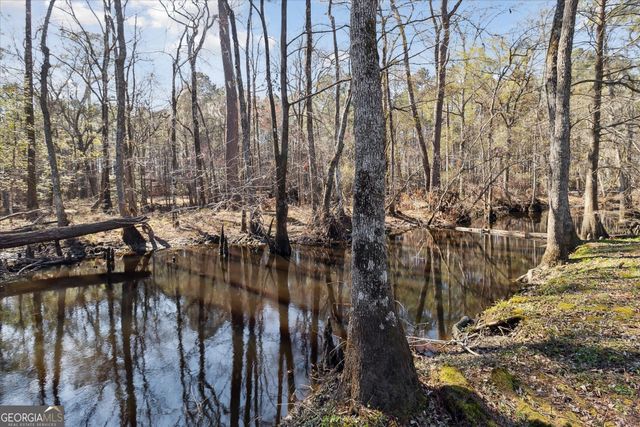 113 Flamingo Lane, Statesboro, GA 30461