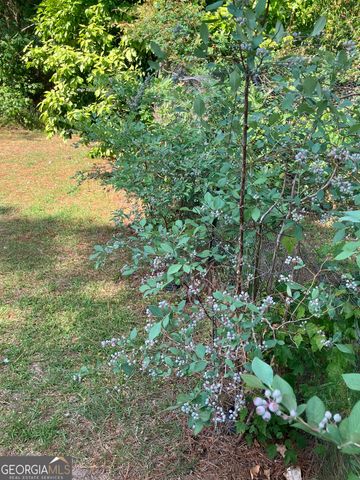 113 Flamingo Lane, Statesboro, GA 30461