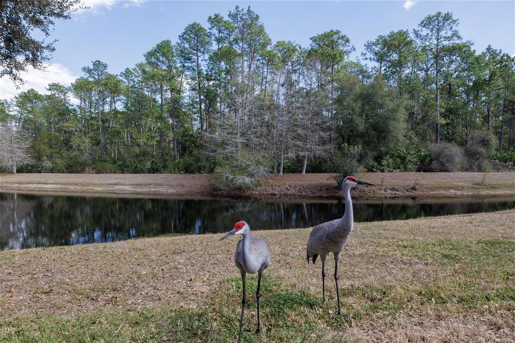 Image 43 of property listing at 526 HERON POINT WAY, Deland, FL 32724