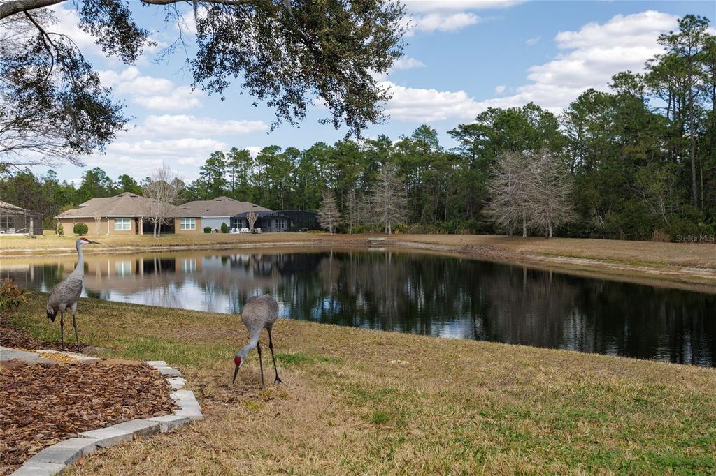 Image 44 of property listing at 526 HERON POINT WAY, Deland, FL 32724