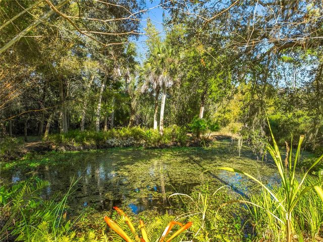 1825 PAMS WAY, Geneva, FL 32732