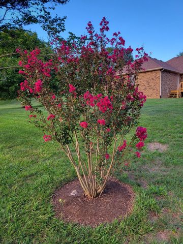 218 La Colline, Harrodsburg, KY 40330