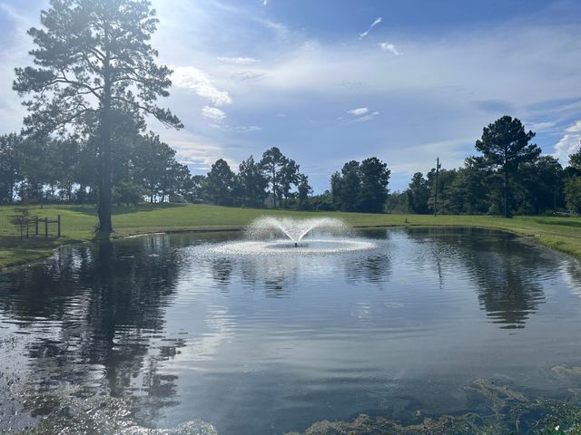 144 Harlan Davis Rd., Lumberton, MS 39455