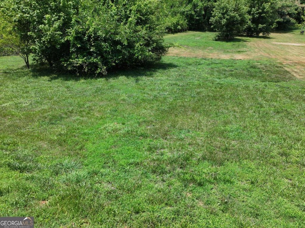 0 Farlinger Street, Cornelia, GA 30531 — photo 2