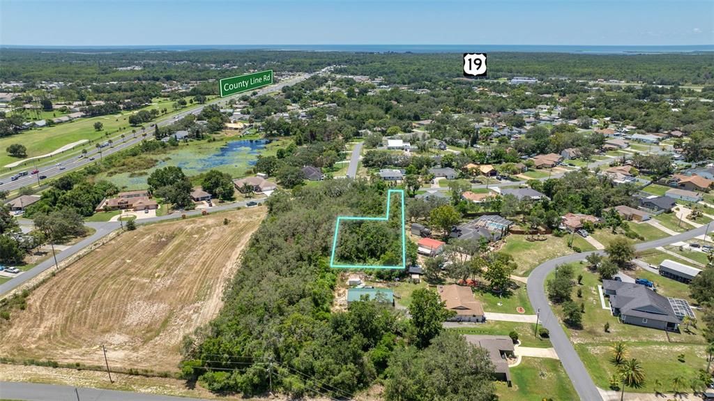 Image 10 of property listing at 194 DARTMOUTH AVENUE, Spring Hill, FL 34606