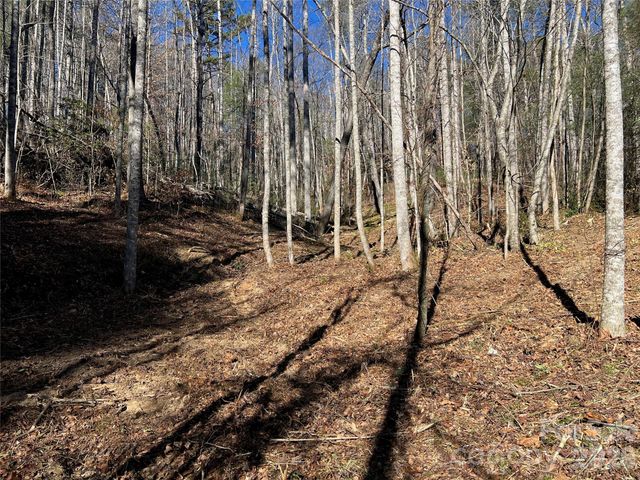 181 Falling Leaves Lane, Hendersonville, NC 28792