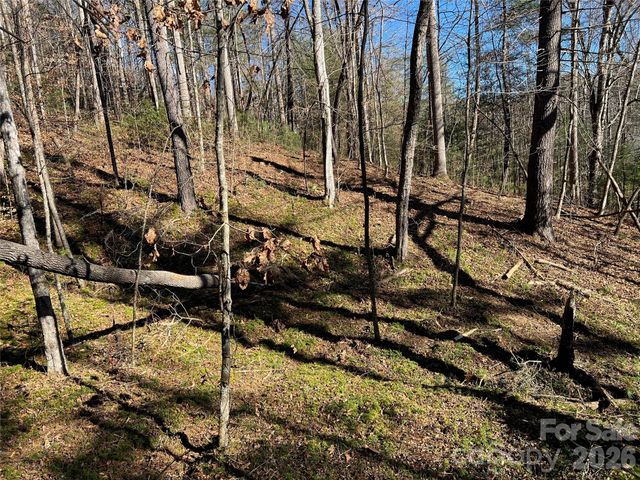 181 Falling Leaves Lane, Hendersonville, NC 28792