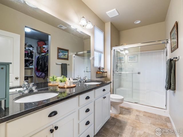 3893 Sweetgum St, Wellington, CO 80549