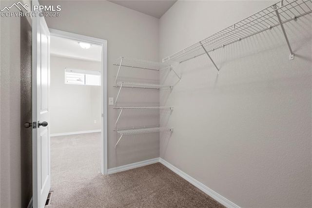 4447 Samaritan Loop, Colorado Springs, CO 80916