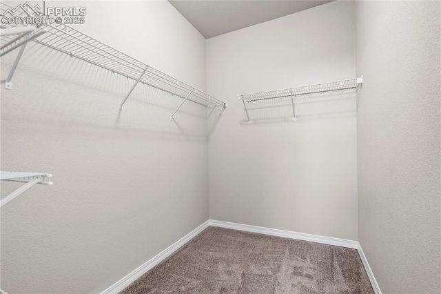 4447 Samaritan Loop, Colorado Springs, CO 80916