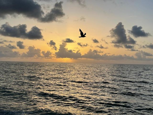 19201 Collins Avenue 337, Sunny Isles Beach, FL 33160