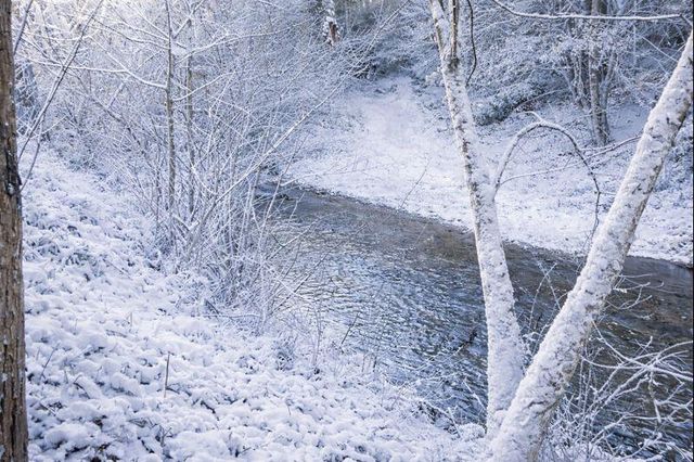 1768 Alean RD, Wirtz, VA 24184